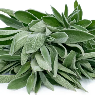 Sage